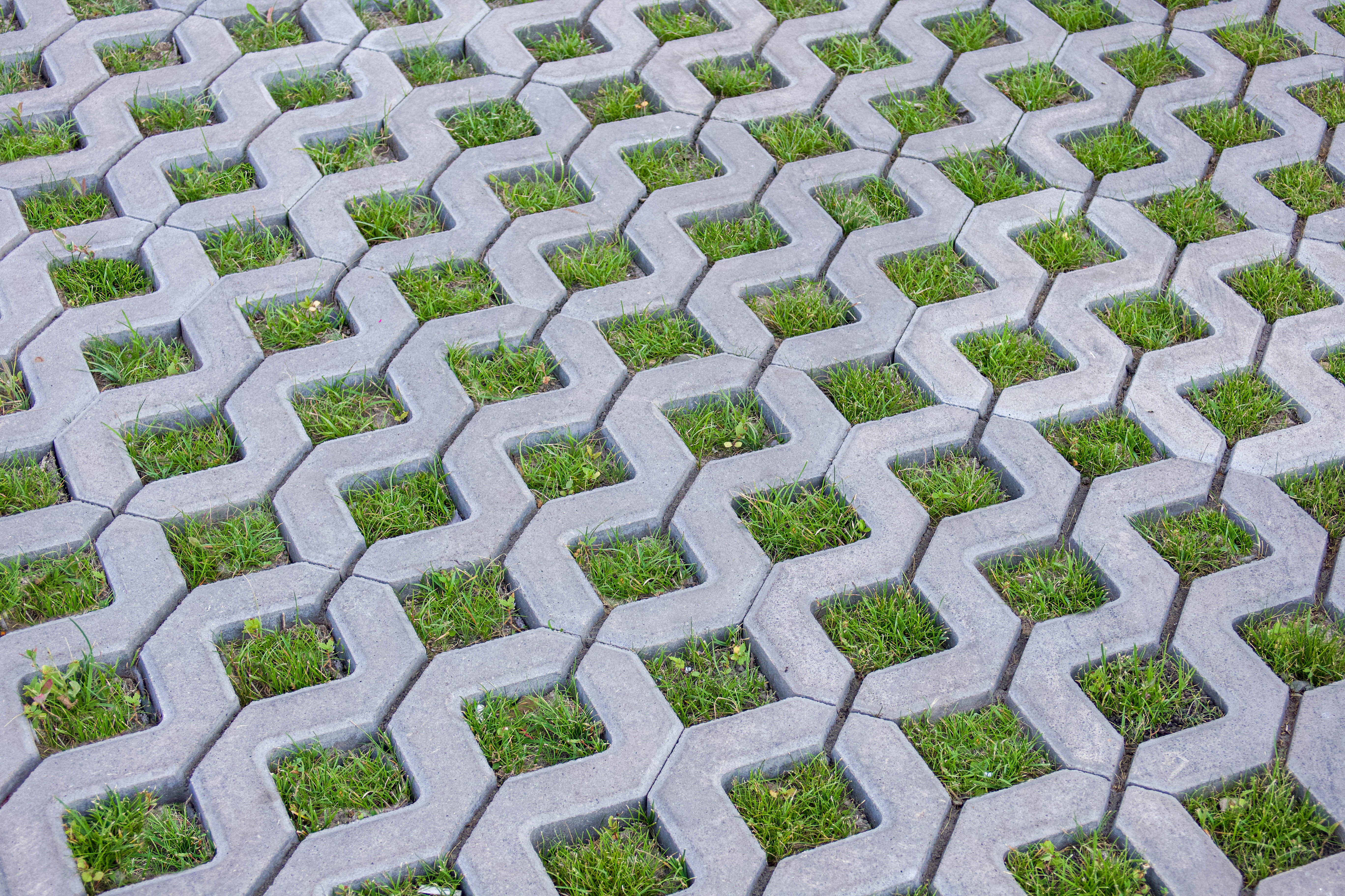 Зеленый город