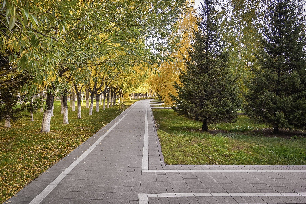 Коллекция тротуарных плит Линия