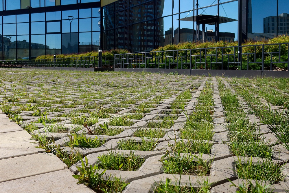 Зеленый город